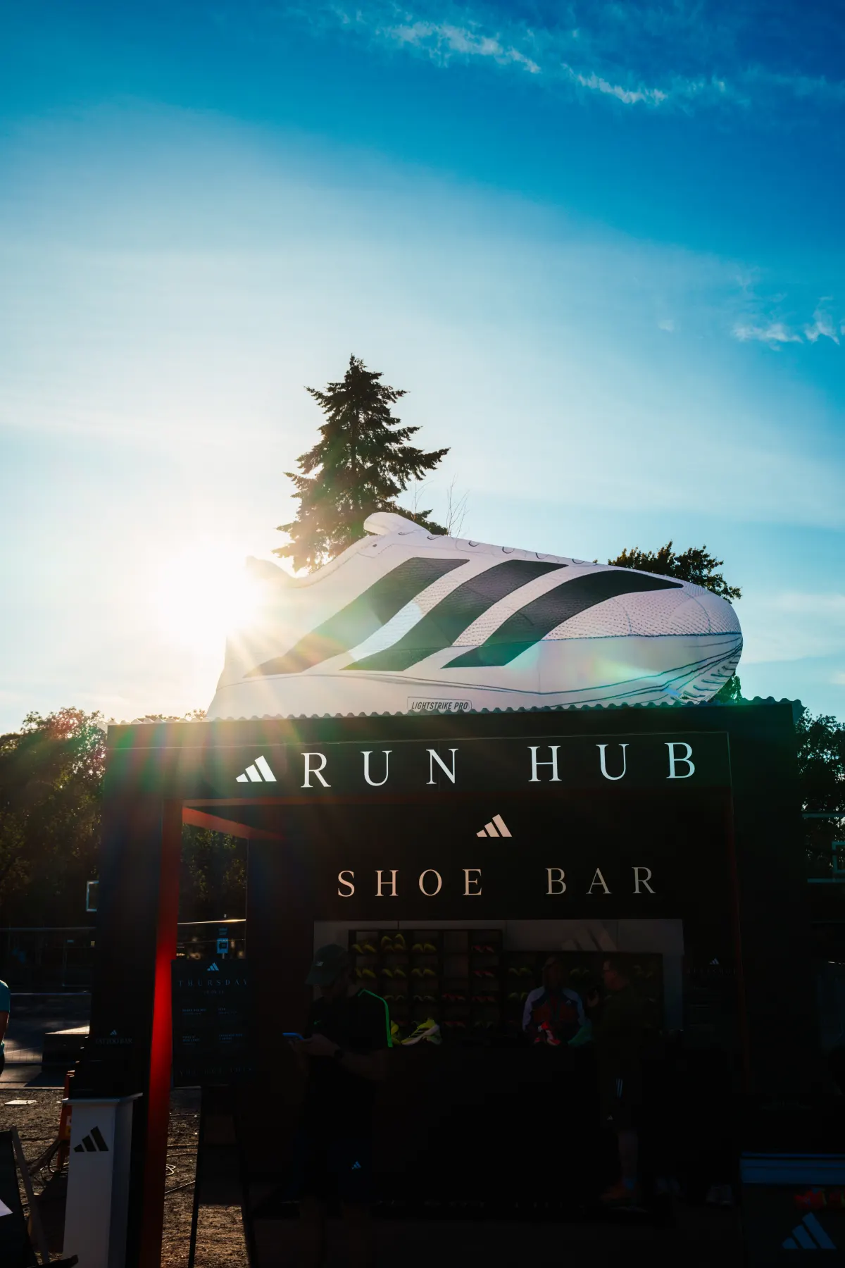 Run Hub på Tøyen i kveldssol